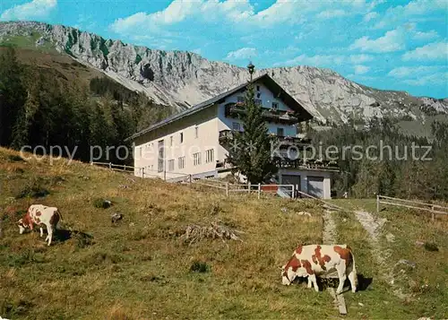 AK / Ansichtskarte Gross Veitsch Alpengasthaus Scheikl Kat. Veitsch