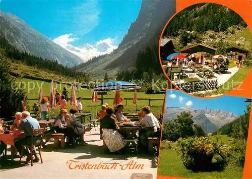 AK / Ansichtskarte Ginzling Jausenstation Tristenbach Alm Floitenkees Gruenberg Kat. Mayrhofen