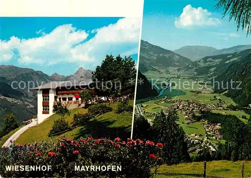 AK / Ansichtskarte Mayrhofen Zillertal Alpengasthof Wiesenhof Brandberg Kolm  Kat. Mayrhofen
