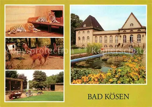AK / Ansichtskarte Bad Koesen Tierpark Tier Lama Junges Badehaus Kat. Bad Koesen