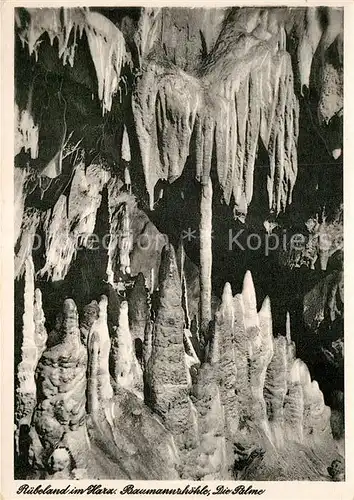 AK / Ansichtskarte Hoehlen Caves Grottes Ruebeland Harz Baumannshoehle Palme  Kat. Berge