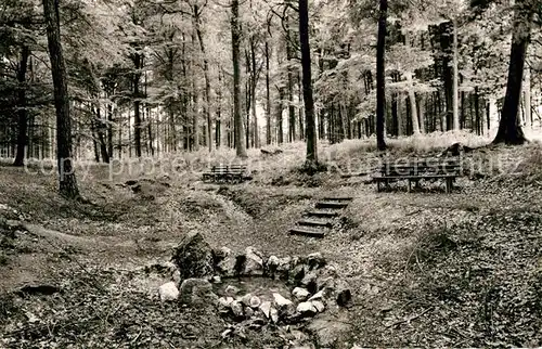 AK / Ansichtskarte Nastaetten Taunus Daubornquelle  Kat. Nastaetten