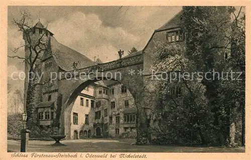 AK / Ansichtskarte Steinbach Michelstadt Schloss Fuerstenau Kat. Michelstadt