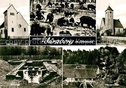 AK / Ansichtskarte Wuerzberg Michelstadt Katholische Kirche Evangelische Kirche Roemerbad Heinstermuehle Kat. Michelstadt