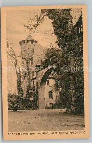 AK / Ansichtskarte Steinbach Michelstadt Schloss Fuerstenau Kat. Michelstadt