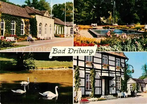 AK / Ansichtskarte Bad Driburg Kurhaus Schwanenteich Park Teich Fachwerkhaus Kat. Bad Driburg