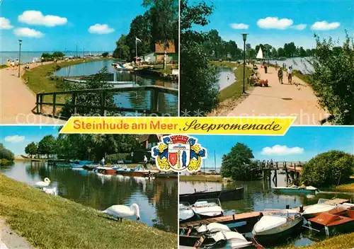 AK / Ansichtskarte Steinhude Meer Seepromenade Hafen Steinhuder Meer Schwaene