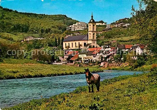 AK / Ansichtskarte Bollendorf Luftkurort Deutsch Luxemburgischer Naturpark Pferd am Ufer der Sauer Kat. Bollendorf