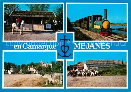 AK / Ansichtskarte Mejannes les Ales Camarque Pferde  Kat. Mejannes les Ales
