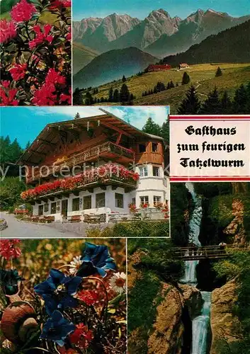 AK / Ansichtskarte Bayrischzell Oberaudorf Gasthaus zum feurigen Tatzelwurm Wasserfall Kat. Bayrischzell