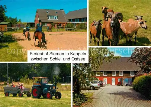 AK / Ansichtskarte Kappeln Schlei Ferienhof Siemen zwischen Schlei und Ostsse Pferde Ziegen Kat. Kappeln