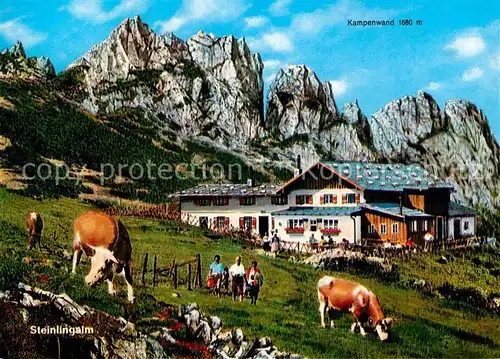 AK / Ansichtskarte Kampenwand Chiemgau Chiemsee Steinlingalm mit Kuehen Kat. Aschau i.Chiemgau