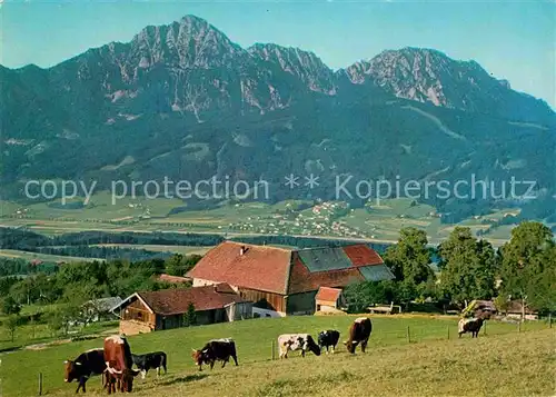 AK / Ansichtskarte Anger Chiemgau Strobl Alm am Hoegel mit Hochstaufen Zwiesel