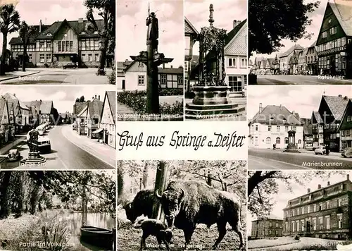 AK / Ansichtskarte Springe Deister Bahnhof Ratsnachtwaechter Marienbrunnen Ratskeller Lange Str Marienbrunnen Volkspark Wisente Jagdschloss Kat. Springe