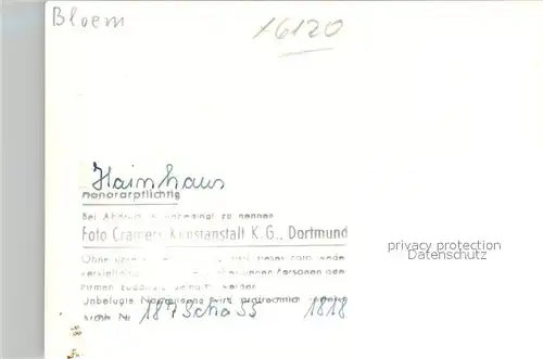 AK / Ansichtskarte Hainhaus Teilansicht  Kat. Michelstadt