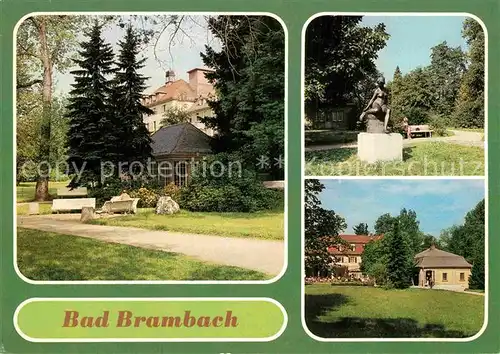 AK / Ansichtskarte Bad Brambach Schillerquelle Nixe im Kurpark Randonquelle Kat. Bad Brambach