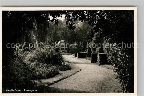 AK / Ansichtskarte Zweibruecken Rosengarten  Kat. Zweibruecken