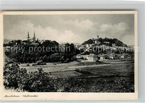 AK / Ansichtskarte Montabaur Westerwald Teilansichte Schloss Kat. Montabaur