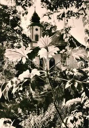 AK / Ansichtskarte Insel Mainau Schlosekapelle Kat. Konstanz Bodensee