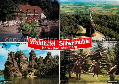 AK / Ansichtskarte Bad Meinberg Waldhotel Silbermuehle Externsteine Hermannsdenkmal Adlerwarte Kat. Horn Bad Meinberg