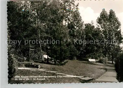 AK / Ansichtskarte Bad Marienberg Kurpark