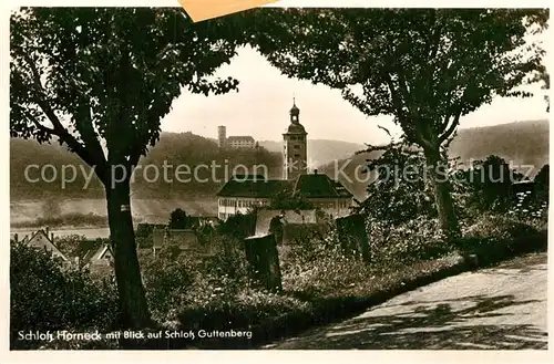 AK / Ansichtskarte Gundelsheim Neckar Schloss Horneck mit Blick zum Schloss Guttenberg