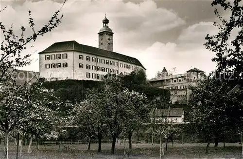 AK / Ansichtskarte Gundelsheim Neckar Schloss Horneck 