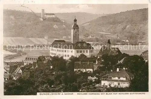 AK / Ansichtskarte Gundelsheim Neckar Schloss Hornegg und Schloss Guttenberg