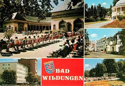 AK / Ansichtskarte Bad Wildungen Wandelhalle Seerosenteich Park Klinik Sanatorium Kat. Bad Wildungen