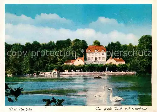 AK / Ansichtskarte Bad Nauheim Grosse Teich mit Teichhaus Schwaene Kat. Bad Nauheim