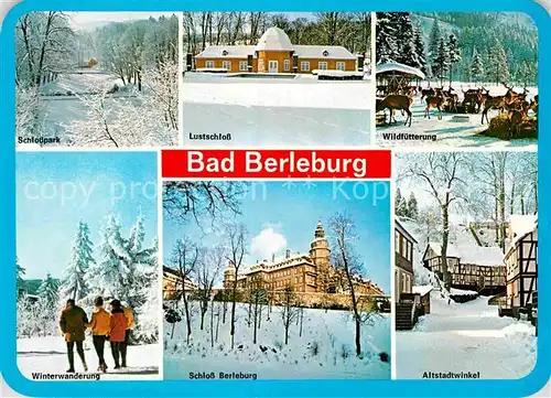 AK / Ansichtskarte Bad Berleburg Lustschloss Wildfuetterung Schloss Berleburg  Kat. Bad Berleburg