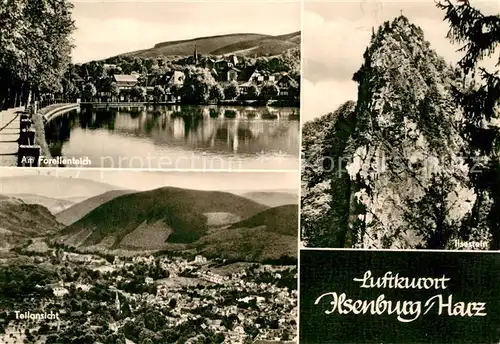 AK / Ansichtskarte Ilsenburg Harz Forellenteich Ilsestein  Kat. Ilsenburg Harz