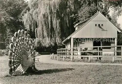 AK / Ansichtskarte Bischofswerda Tierpark Kat. Bischofswerda