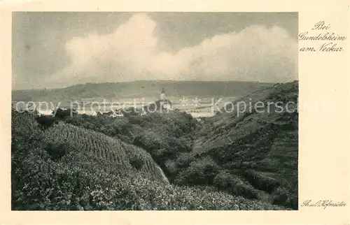 AK / Ansichtskarte Gundelsheim Neckar Panorama Neckartal