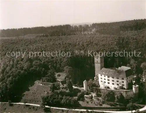 AK / Ansichtskarte Gundelsheim Neckar Fliegeraufnahme Schloss Hornegg