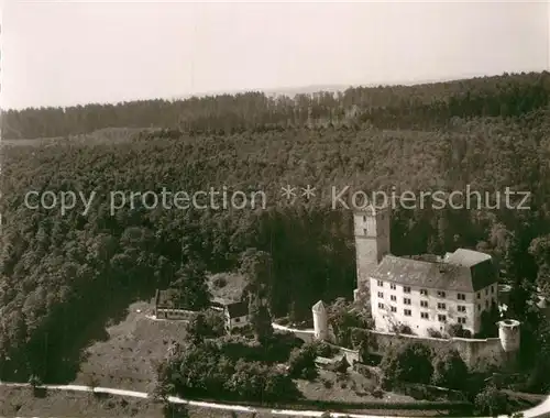 AK / Ansichtskarte Gundelsheim Neckar Schloss Hornegg