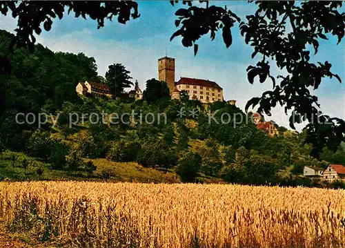 AK / Ansichtskarte Neckarmuehlbach Burg Guttenberg Kat. Hassmersheim