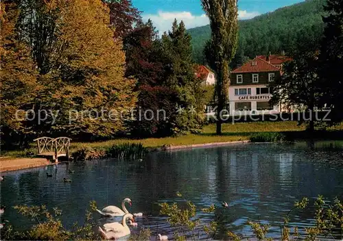 AK / Ansichtskarte Reinhardshausen Schwanenteich Cafe Hubertus Kat. Bad Wildungen