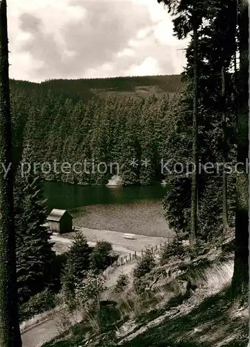 AK / Ansichtskarte Oberharz Region Schalker Teich