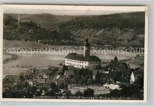 AK / Ansichtskarte Gundelsheim Neckar Schloss Horneck und Schloss Guttenberg 
