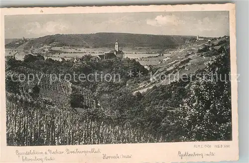 AK / Ansichtskarte Gundelsheim Neckar Drei Burgenblick