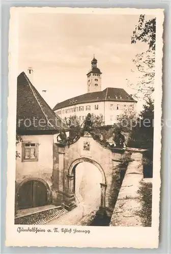 AK / Ansichtskarte Gundelsheim Neckar Schloss Horneck Portal