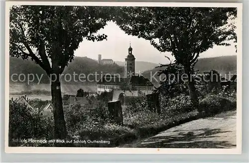 AK / Ansichtskarte Gundelsheim Neckar Schloss Horneck und Schloss Guttenberg 