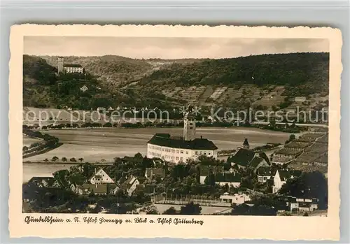 AK / Ansichtskarte Gundelsheim Neckar Schloss Horneck und Schloss Guttenberg 