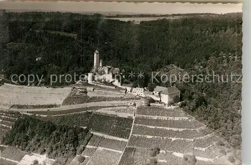 AK / Ansichtskarte Gundelsheim Neckar Fliegeraufnahme Burg Hornberg