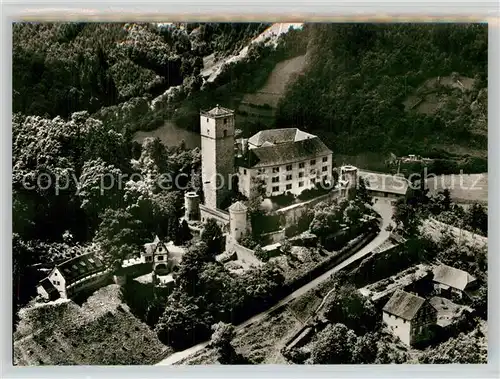 AK / Ansichtskarte Neckarmuehlbach Fliegeraufnahme Burg Guttenberg  Kat. Hassmersheim