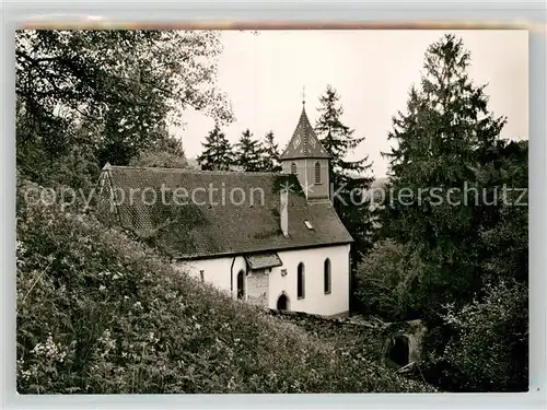 AK / Ansichtskarte Neckarmuehlbach Burg Guttenberg Schloss Kapelle Kat. Hassmersheim
