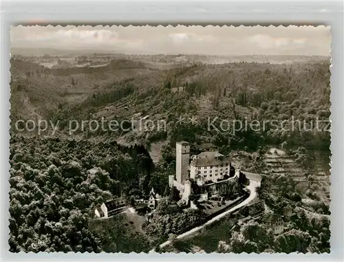 AK / Ansichtskarte Gundelsheim Neckar Burg Guttenberg