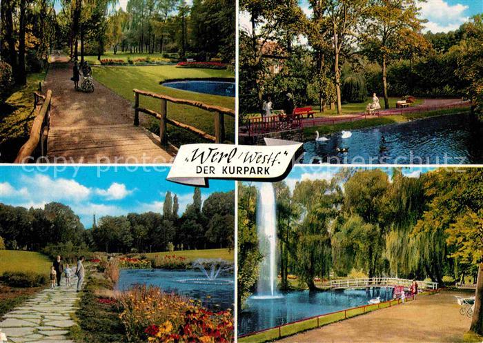 Reinhardshausen Parkland Klinik Flamingos Kurpark Kurcentrum Fontaene