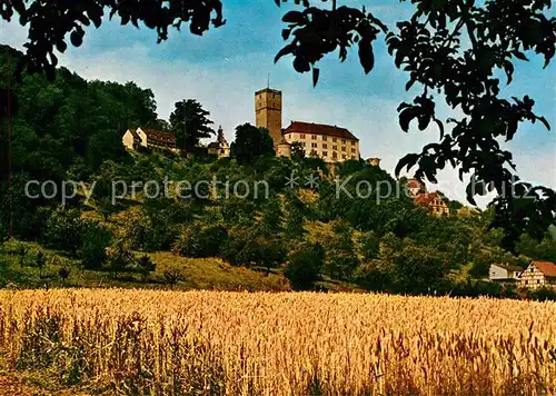 AK / Ansichtskarte Neckarmuehlbach Burg Guttenberg Kat. Hassmersheim
